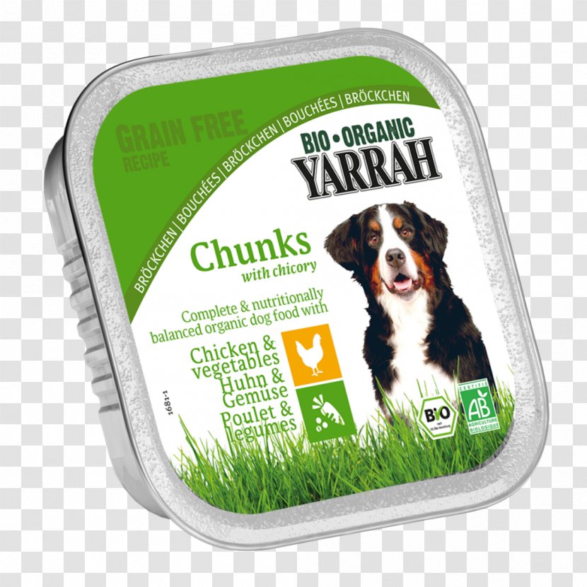Organic Food Dog Vegetarian Cuisine Cat - Pet Transparent PNG