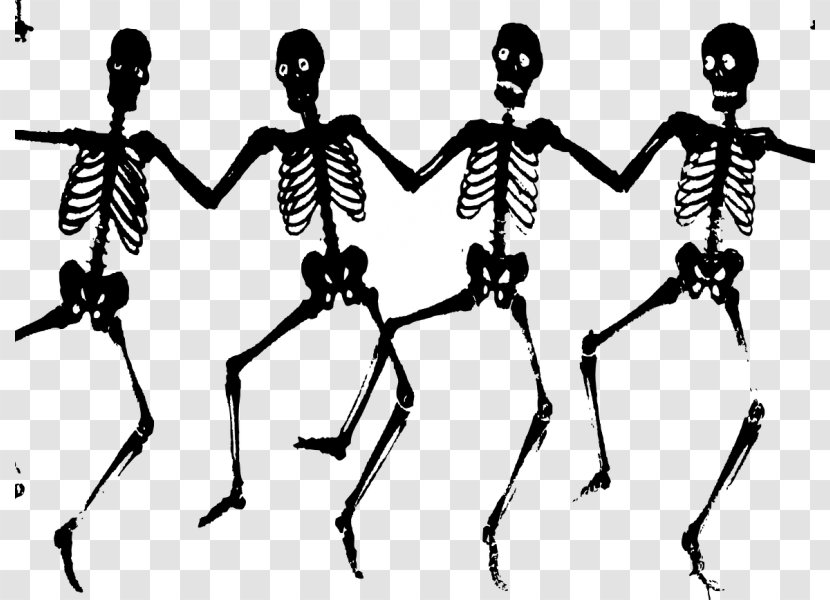 Human Skeleton Bone Danse Macabre Death - Insect Transparent PNG