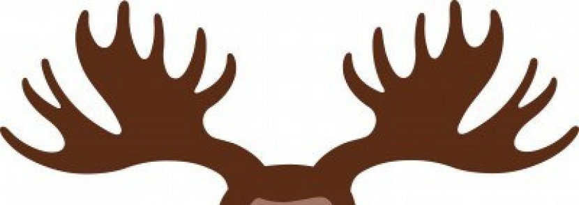 Moose Deer Antler Elk Clip Art - Shutterstock - Cliparts Transparent PNG