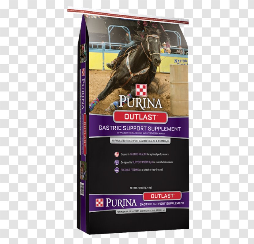 Horse Outlast Purina Mills Nestlé PetCare Company Equine Nutrition Transparent PNG