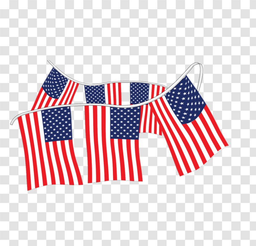 Flag Of The United States Pennon Bunting - Olive Material Transparent PNG
