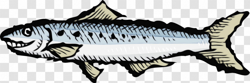 Line Art Black And White Mackerel (m) Fish Sardine Transparent PNG