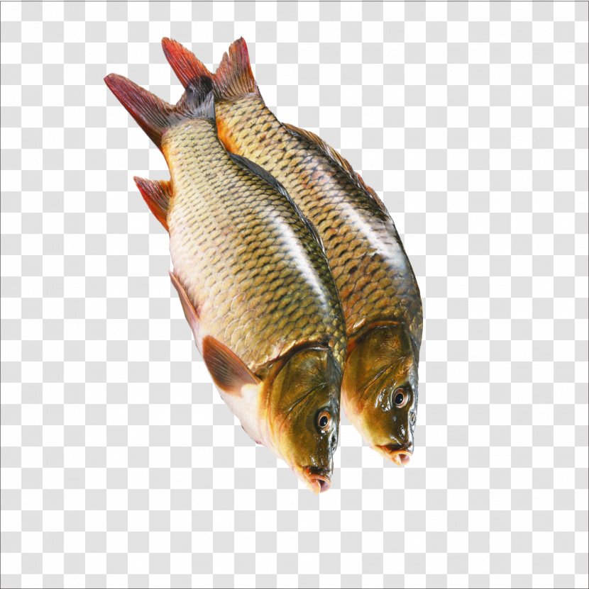 Kipper Sashimi Crudo Fish - Raw Transparent PNG