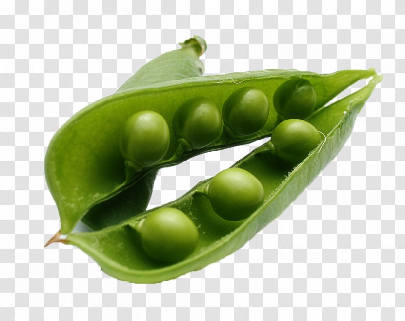 Snow Pea Vegetable Food Seed - Nutrition Transparent PNG