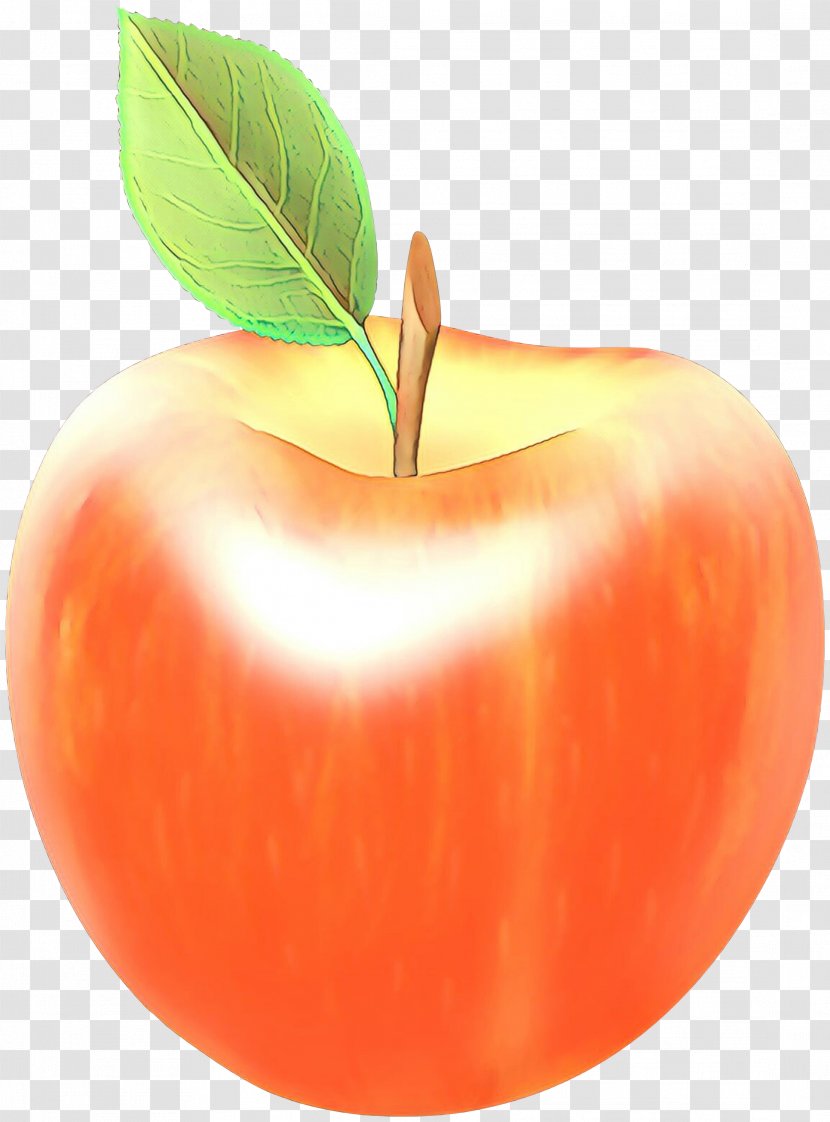 Orange - Cartoon - Vegan Nutrition Tree Transparent PNG