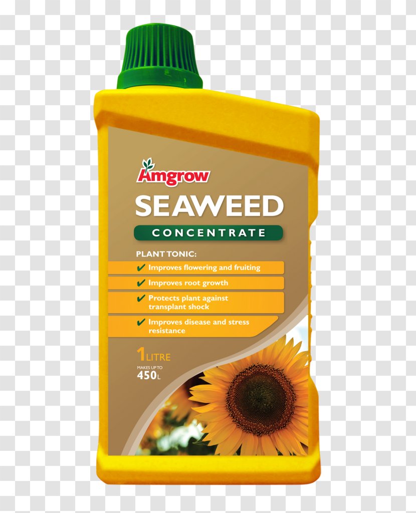 Seaweed Fertilisers Liquid Bullwhip Kelp - Cosmetics Transparent PNG