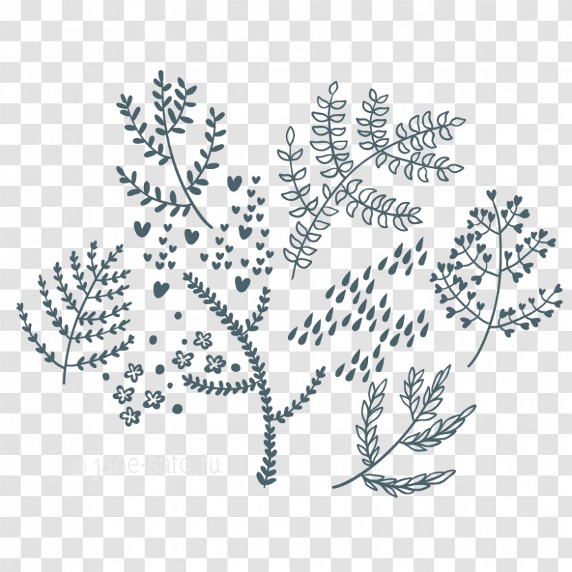 Clip Art - Twig - Leaf Transparent PNG