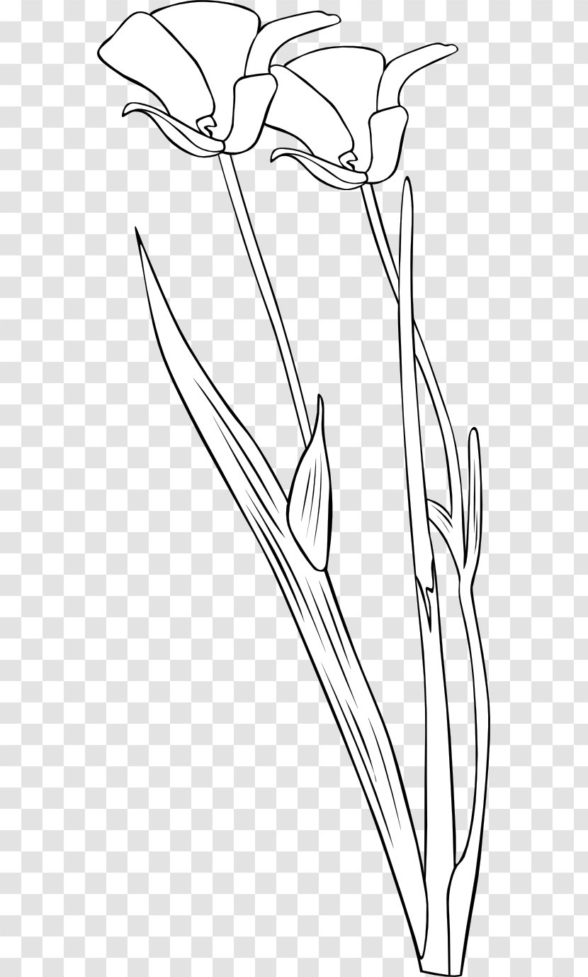 Flower Drawing Clip Art - Cartoon Transparent PNG