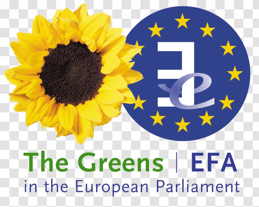 Greens–European Free Alliance European Union Member Of The Parliament Green Foundation - Ska Keller - Party Transparent PNG