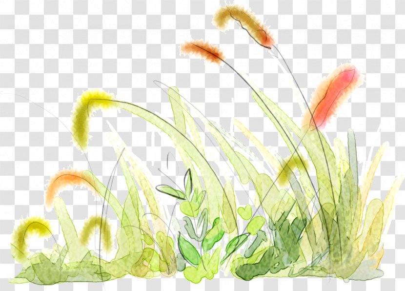 Foxtail Setaria Viridis - Flower - Hand-painted Fresh Dog's Tail Grass Transparent PNG