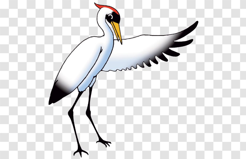 Crane Publishing Mathematics Bird Stork - Longevity Transparent PNG