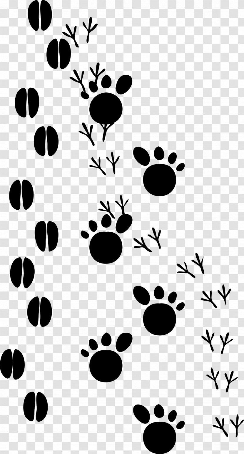 Dog Cat Footprint Paw Clip Art - Footprints Transparent PNG