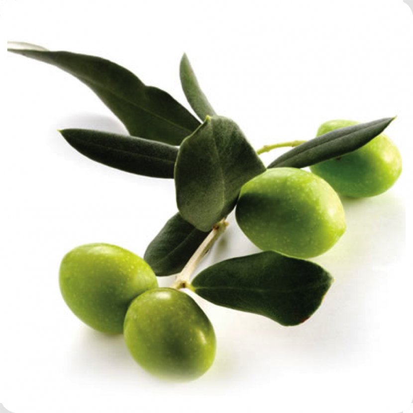 Alentejo Squalane Olive Oil - Glutenfree Diet Transparent PNG