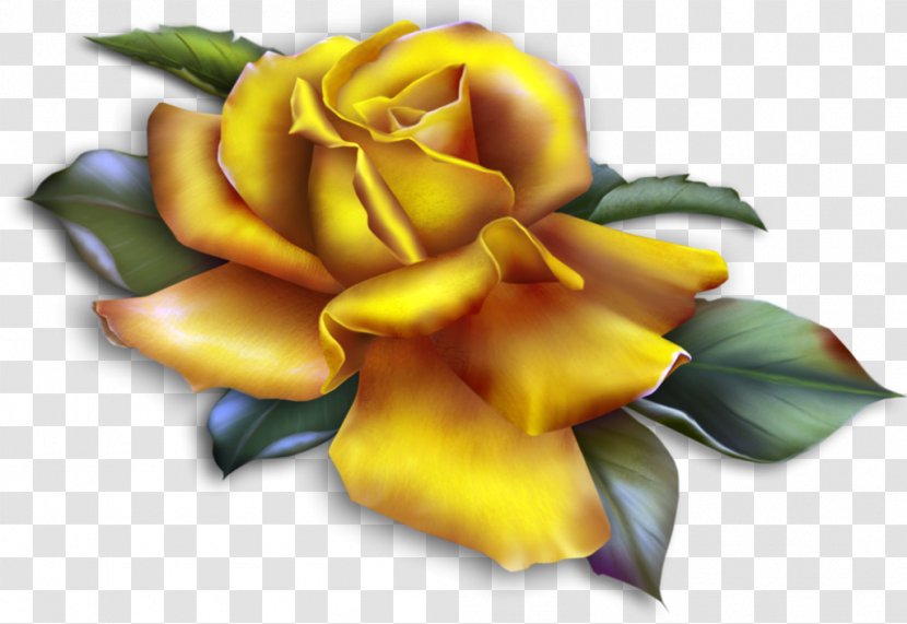 Rose Yellow Clip Art - Flower - Beautiful Clipart Transparent PNG