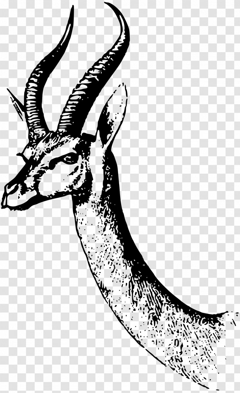 Gazelle Antelope Drawing Clip Art - Head Transparent PNG