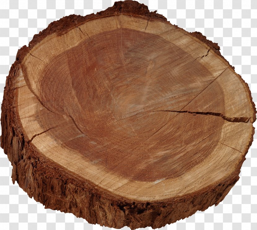 Wood Tree Procurement Forest Management Contract - Stump Transparent PNG