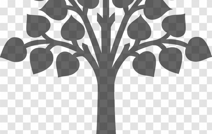Tree Coat Of Arms Root Clip Art - Plant Stem Transparent PNG