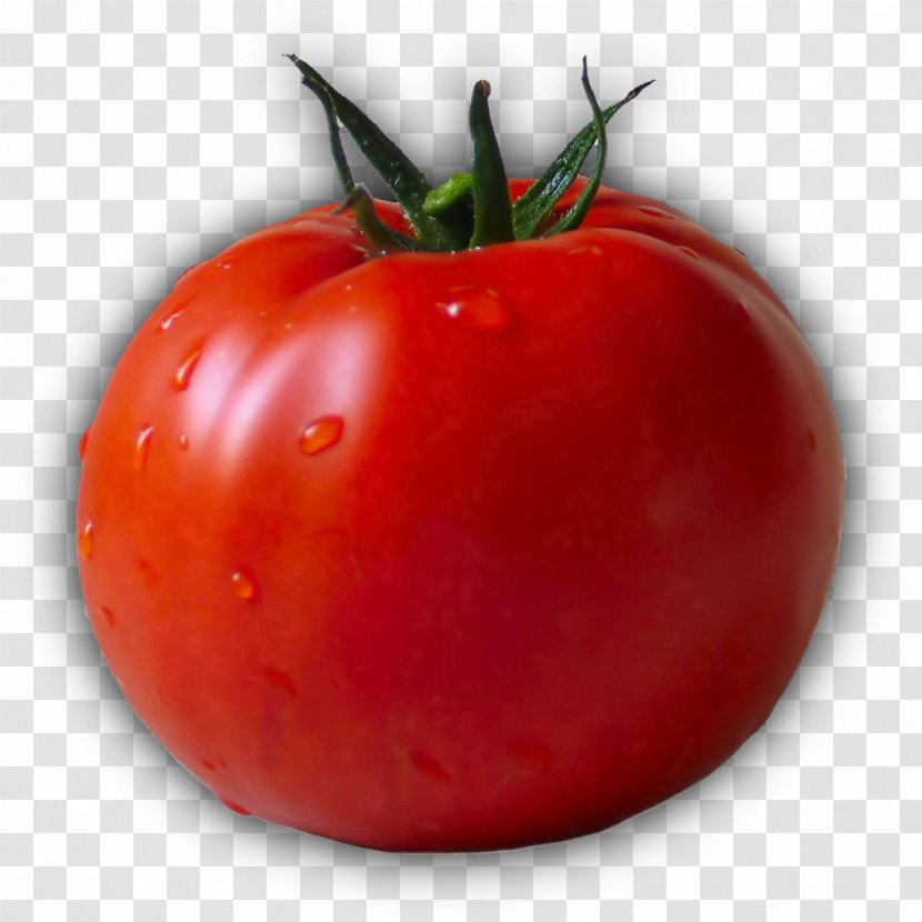 Plum Tomato Food Bush Daggertooth Pike Conger Health - Tomoto Transparent PNG