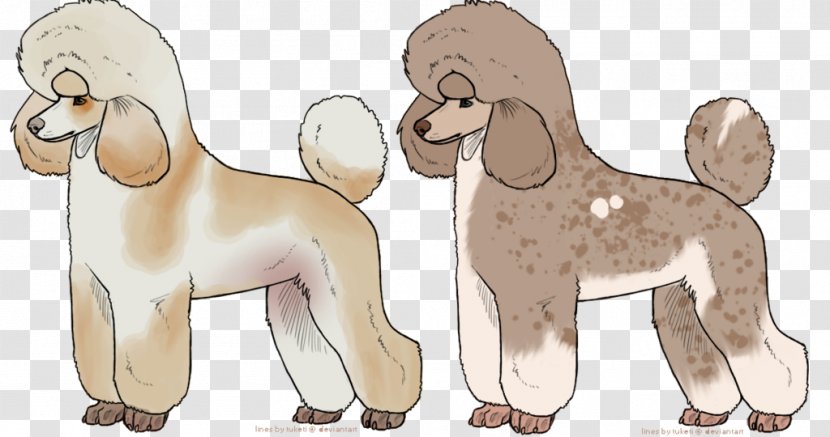 Dog Breed Puppy Spaniel Non-sporting Group - Tail - Poodle Transparent PNG