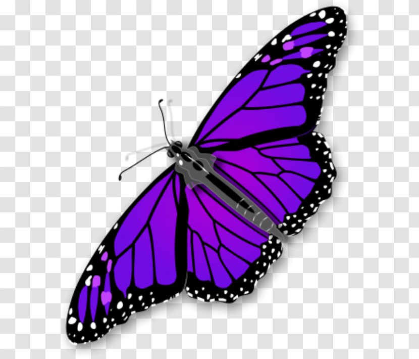 Monarch Butterfly Clip Art - Moths And Butterflies - Purple Transparent Transparent PNG