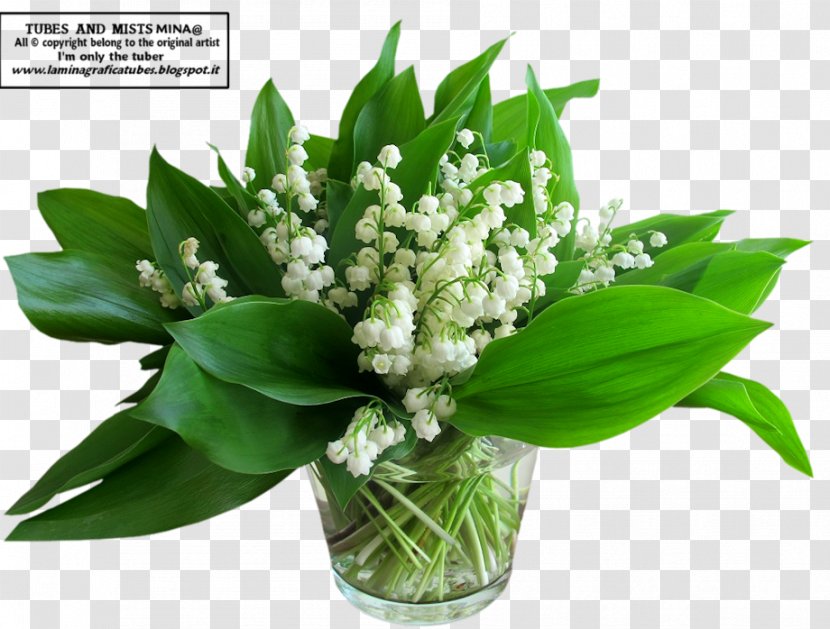 Lily Of The Valley Flower Bouquet International Workers' Day Birth - Greeting Note Cards Transparent PNG
