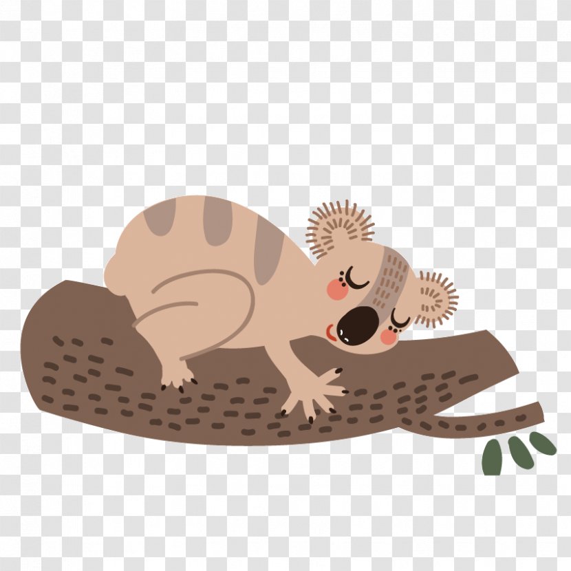 Koala Wombat Bear Cartoon Sloth - Cuteness - Cute Squirrel Transparent PNG
