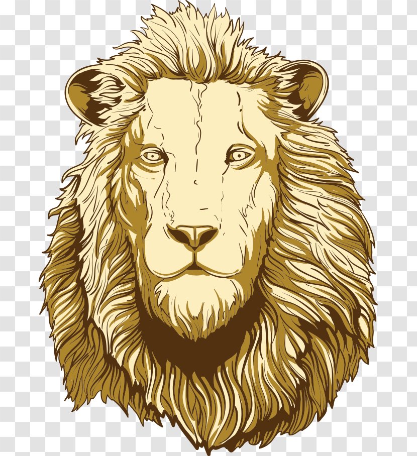 Lions Head Illustration - Drawing - Vector Lion Transparent PNG