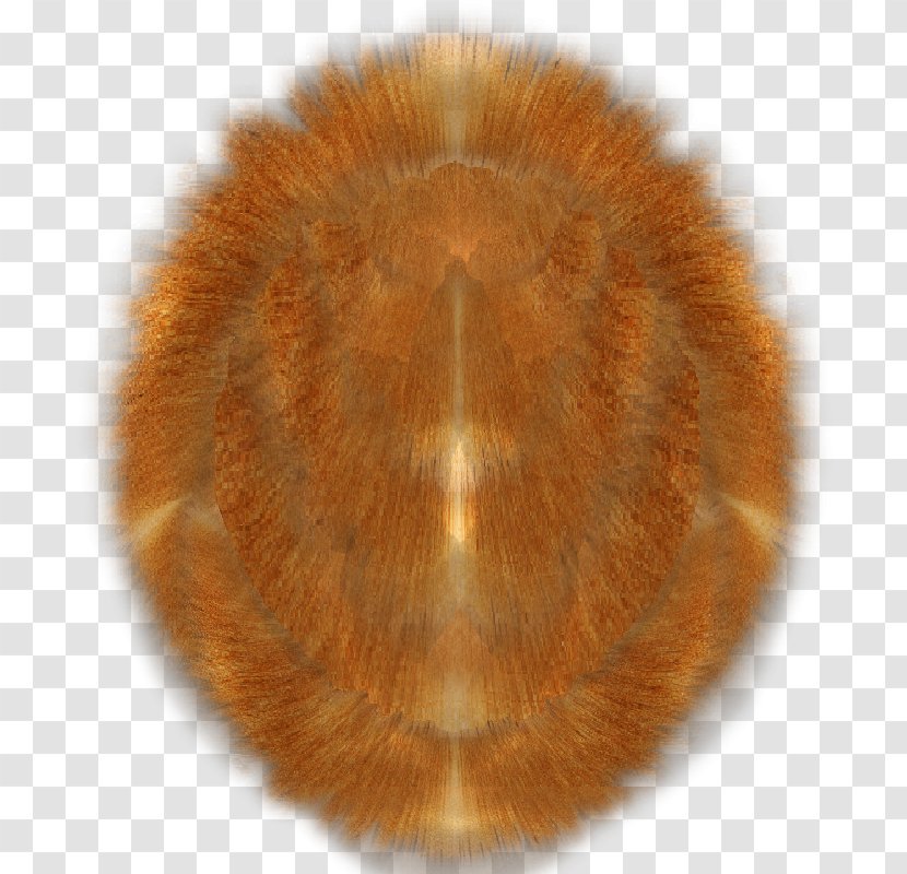 Snout Fur - Body Paint Transparent PNG