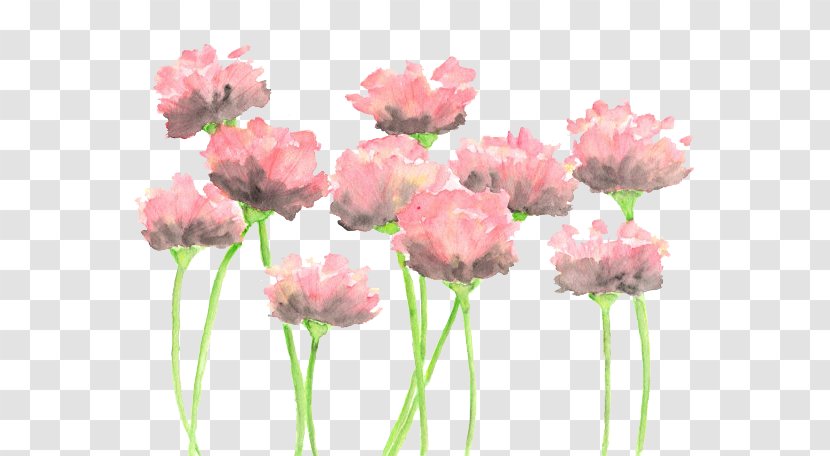 Watercolour Flowers Watercolor: Watercolor Painting Pink Transparent PNG
