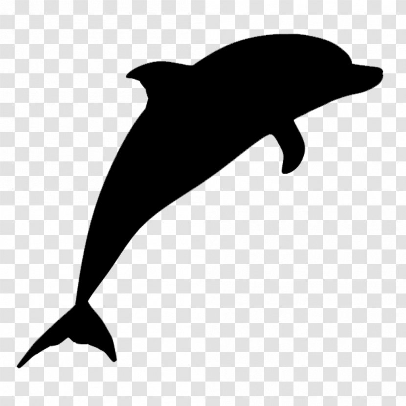 Common Bottlenose Dolphin Short-beaked Tucuxi Spinner Striped - Cetaceans Transparent PNG