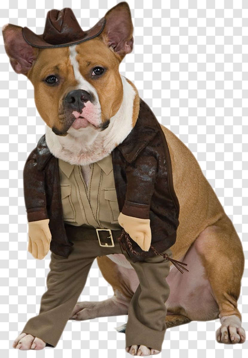 Dog Indiana Jones Halloween Costume Cat - Breed - Bone Transparent PNG