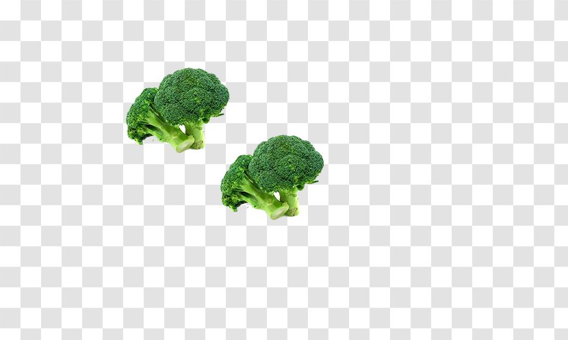 Broccoli Vegetable Icon - Fruit Transparent PNG