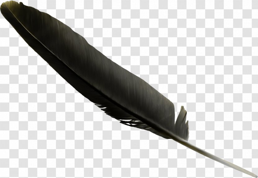 Feather Black Clip Art - Highdefinition Television Transparent PNG