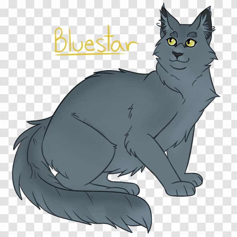 Korat Whiskers Wildcat Drawing Domestic Short-haired Cat - Wild - Epic Warrior Drawings Transparent PNG