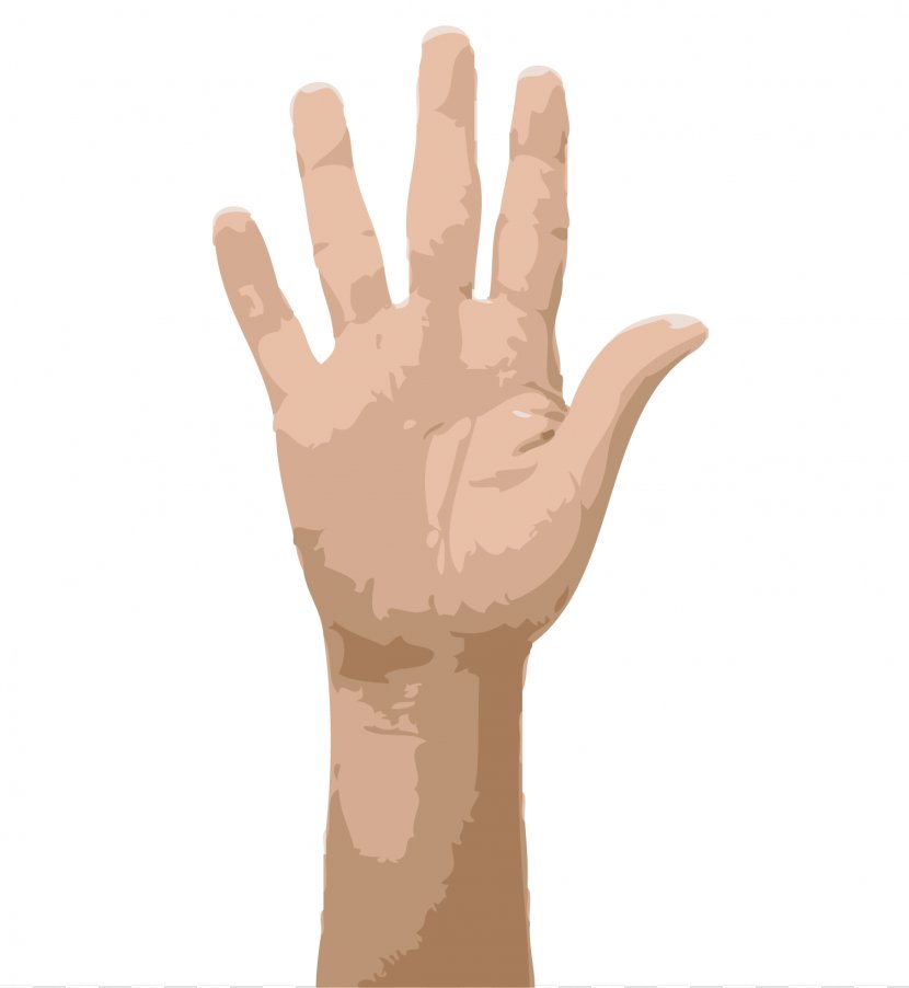 Hand Thought Finger Shoulder - Tree - Hands Transparent PNG