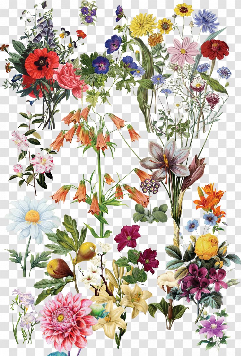 Flowers - Spring - Cut Transparent PNG