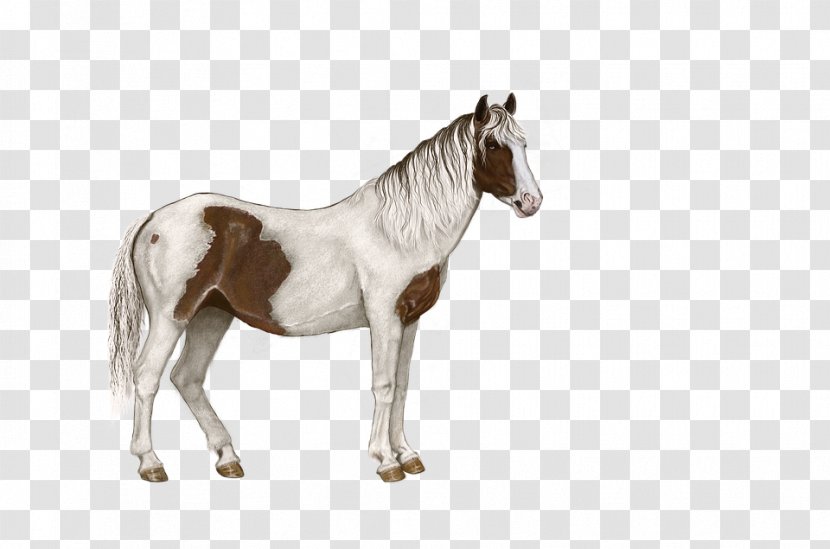 Standing Horse Pixel - Pony - White Spotted Transparent PNG