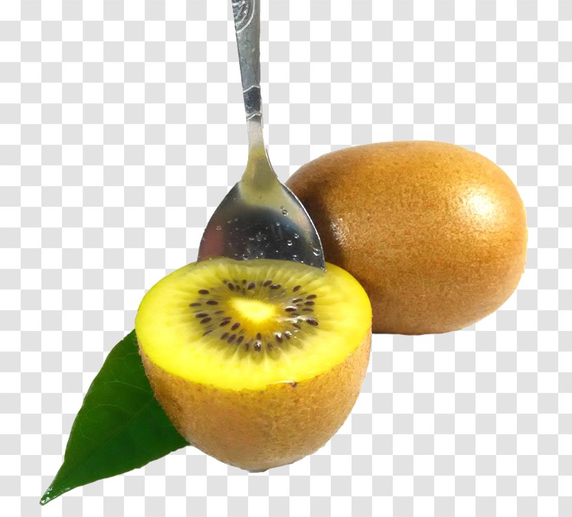 Kiwifruit Icon - Superfood - Kiwi Transparent PNG