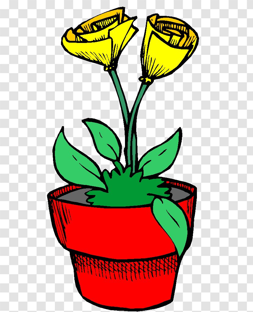 Clip Art Image Flower Plants - Petal Transparent PNG