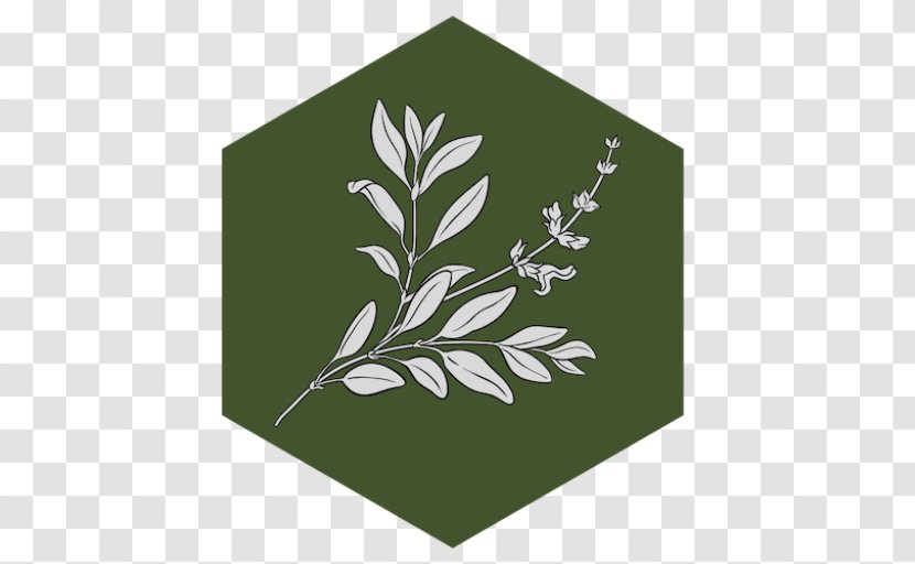 Green Grass Background - Twig Vascular Plant Transparent PNG