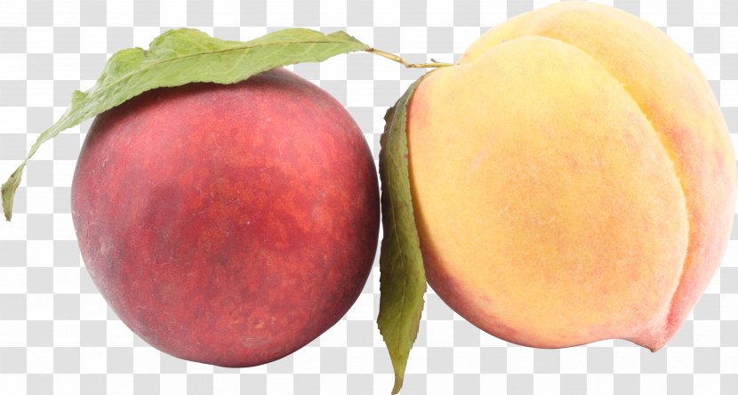 Juice Saturn Peach Nectarine - Image Transparent PNG