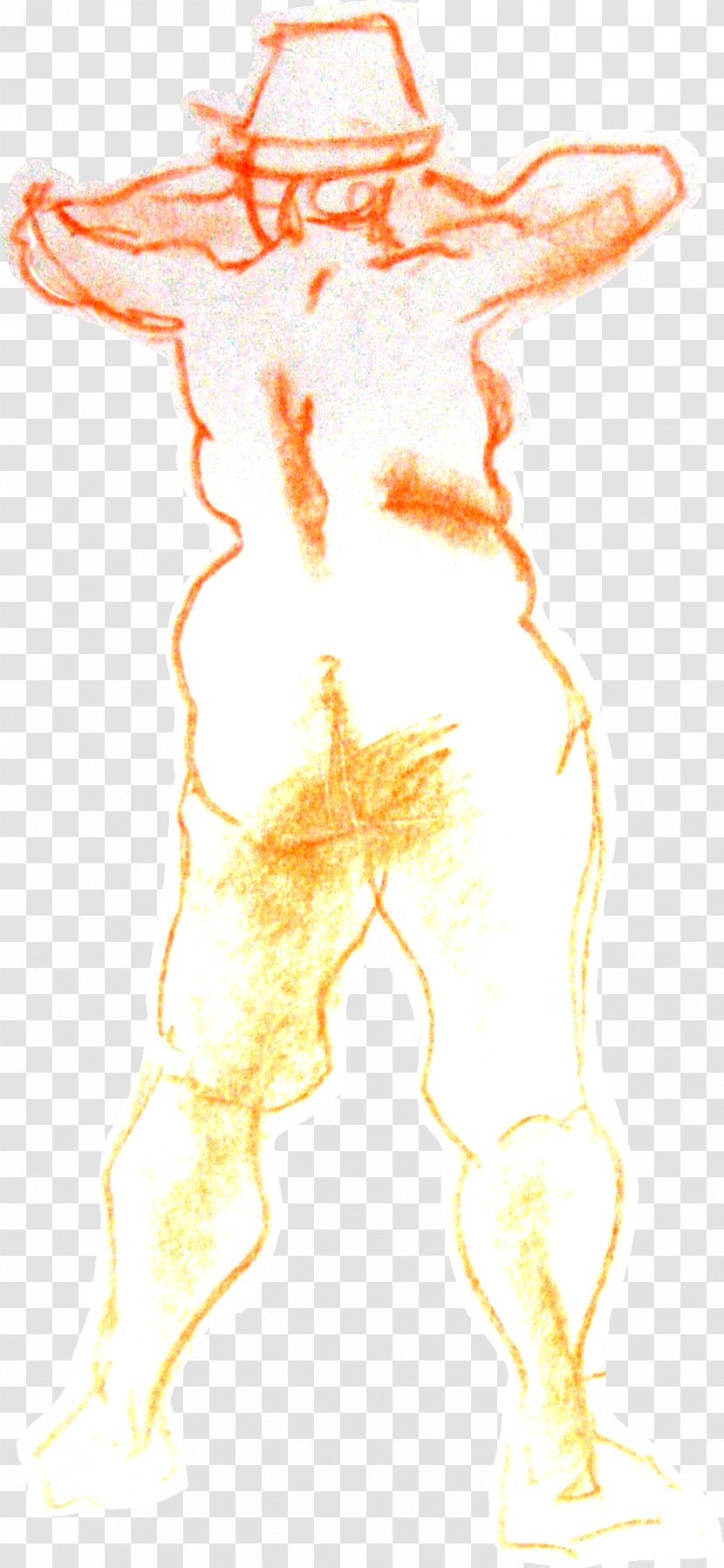 Homo Sapiens Figure Drawing Sketch - Human Transparent PNG