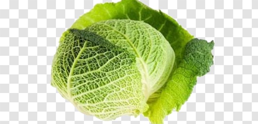 Savoy Cabbage Stuffing Vegetable Food - Leaf - Plant Transparent PNG