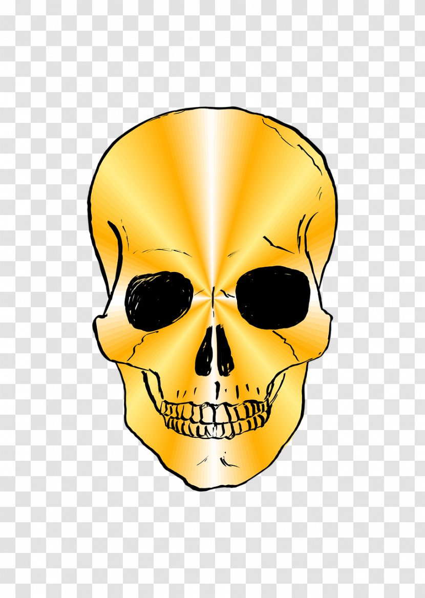 Skull And Crossbones - Jaw Transparent PNG
