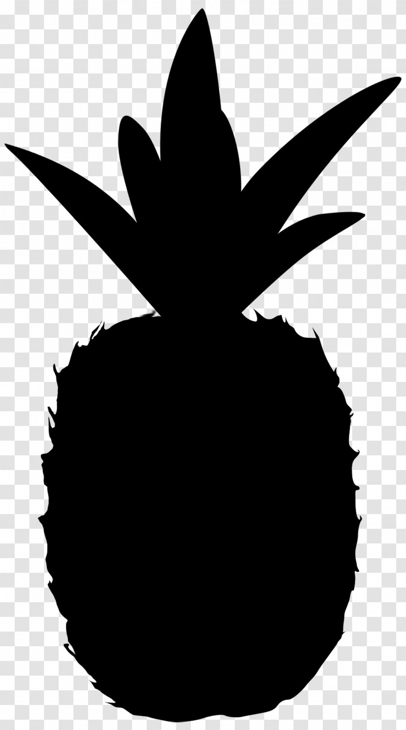 Leaf Clip Art Flowering Plant Silhouette - Bromeliaceae - Symmetry Transparent PNG