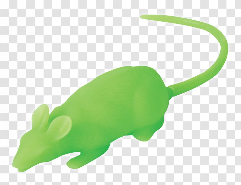 Rat Reptile Fauna Amphibians Product Design - Carnivoran - Glow In The Dark Contacts Transparent PNG