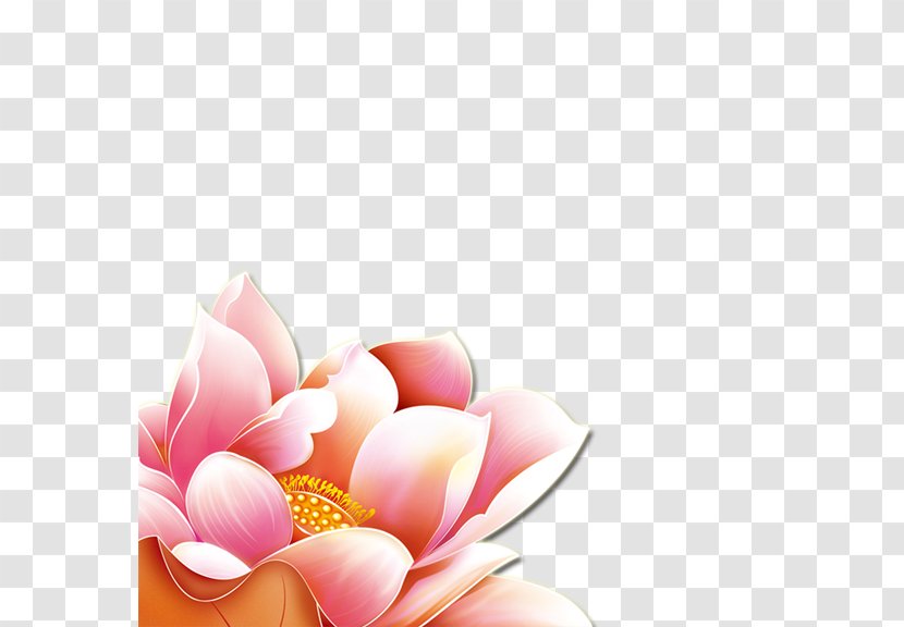 Flower Desktop Wallpaper - Festival - Lotus Transparent PNG