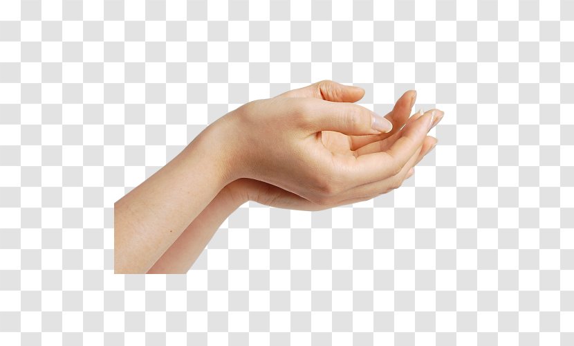 Hand Forearm Finger - Foot Transparent PNG