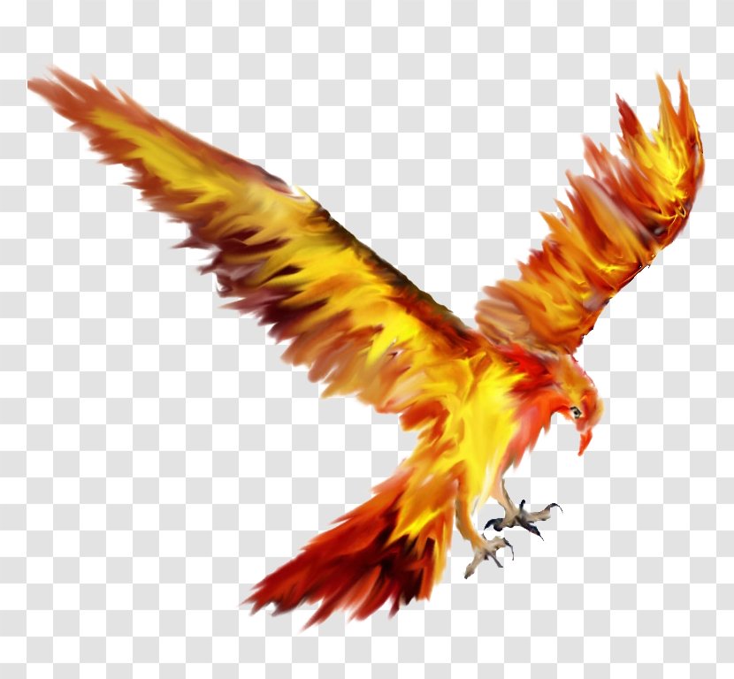 Phoenix Lights Logo Fawkes Information - Eagle Transparent PNG