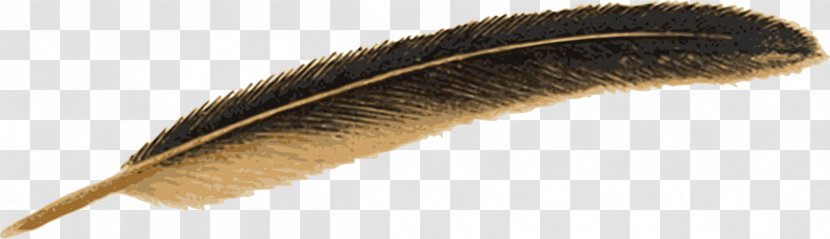 Bird Feather Mallard Pen Quill - Ink Transparent PNG